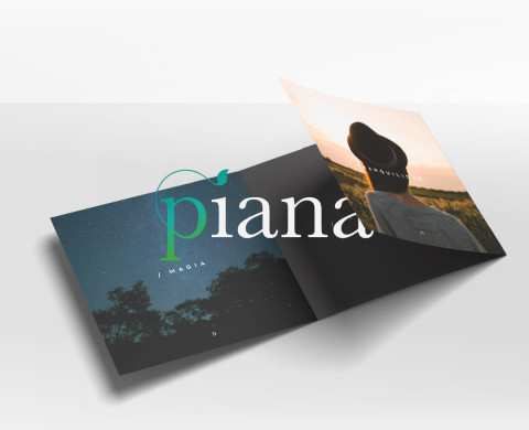 Piana- Identity & Onepage